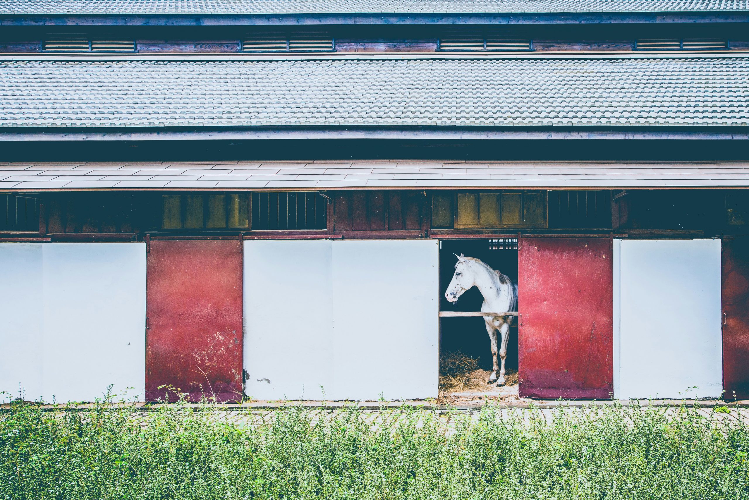 Hello World Featured Image