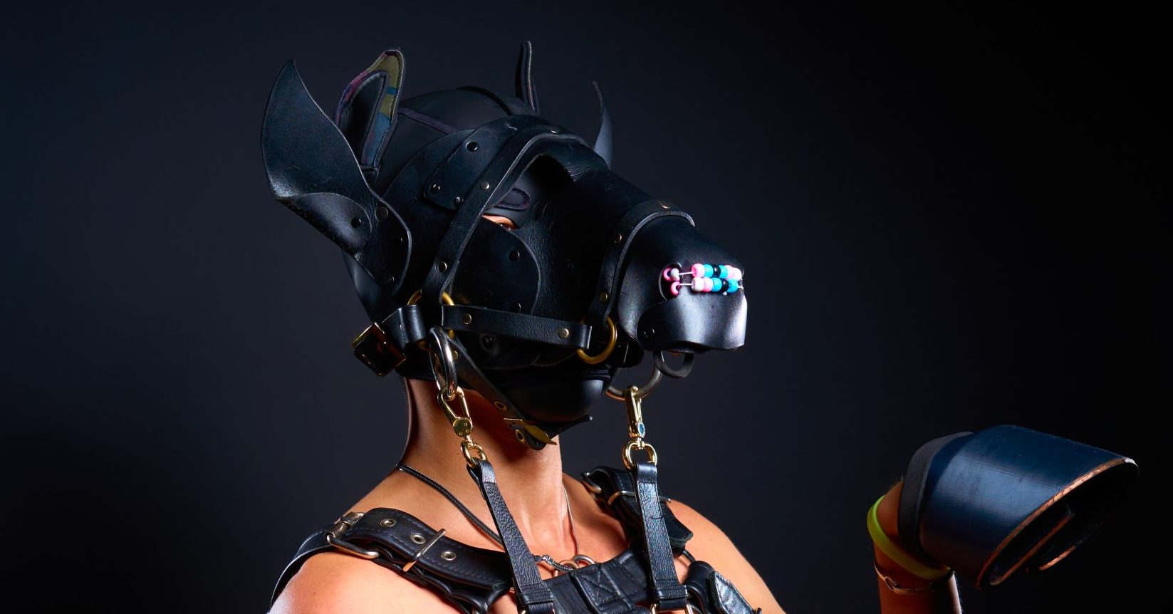 A cropped portrait of G, PonyhounD. A bare chested man wears a leather horse mask on top of a neoprene puppy hood, with a rein attached. He wears a bulldog style leather harness, and 3D printed hoofs on the front legs.